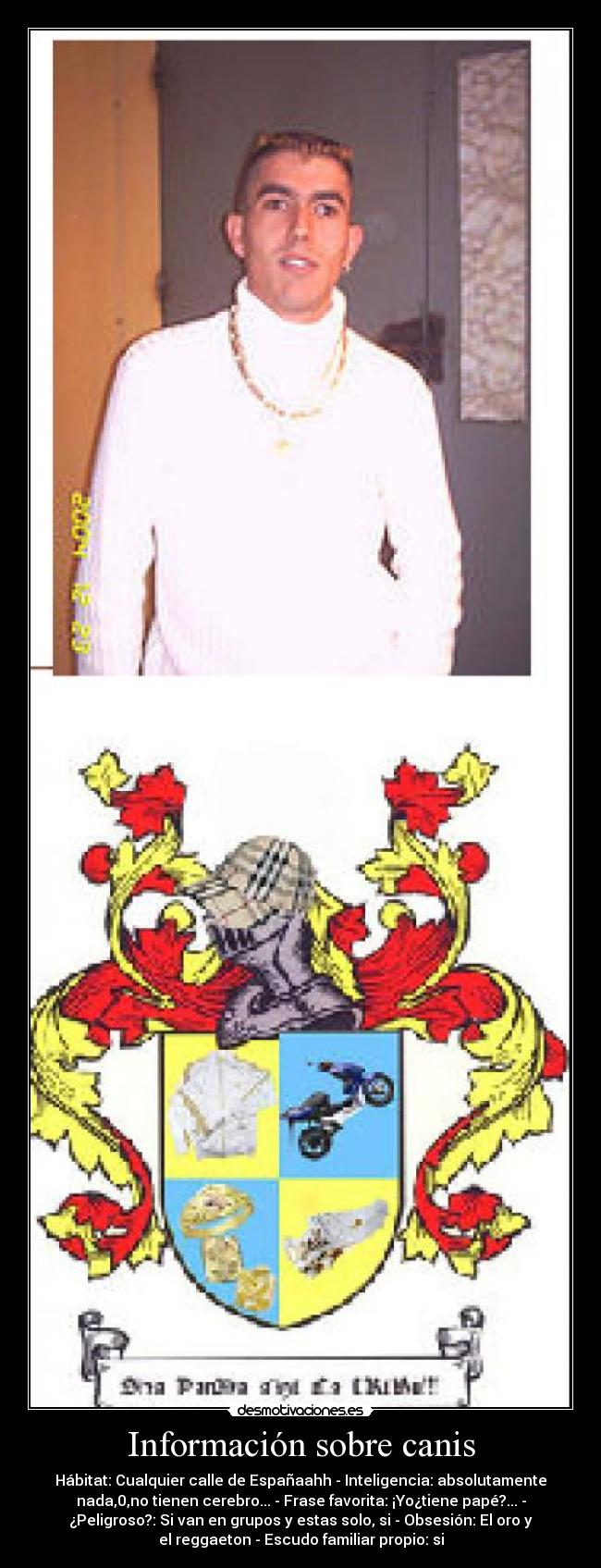 Información sobre canis - Hábitat: Cualquier calle de Españaahh - Inteligencia: absolutamente
nada,0,no tienen cerebro... - Frase favorita: ¡Yo¿tiene papé?... -
¿Peligroso?: Si van en grupos y estas solo, si - Obsesión: El oro y
el reggaeton - Escudo familiar propio: si