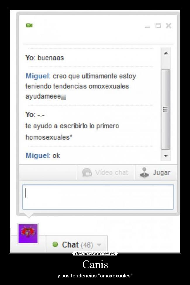 Canis - y sus tendencias omoxexuales