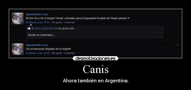 Canis - Ahora también en Argentina.