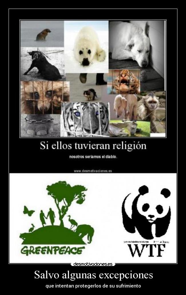 Salvo algunas excepciones - 