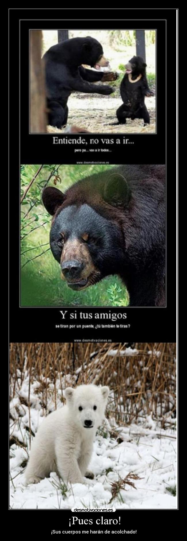 ¡Pues claro! - ¡Sus cuerpos me harán de acolchado!