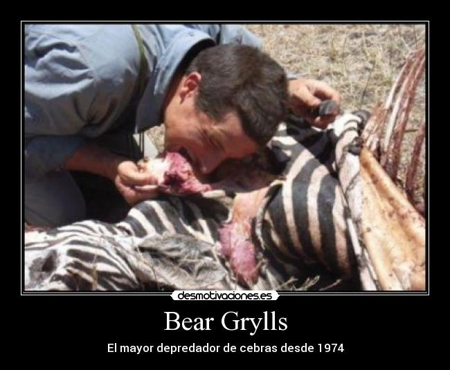 Bear Grylls - 