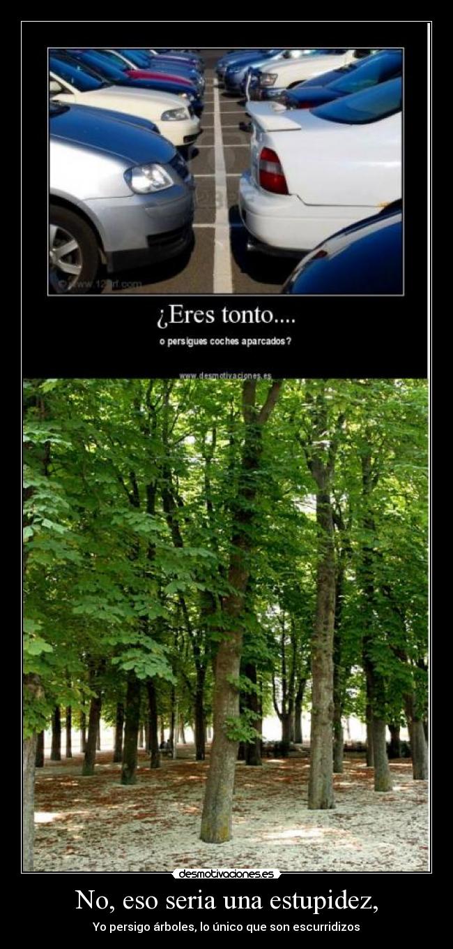 No, eso seria una estupidez, -