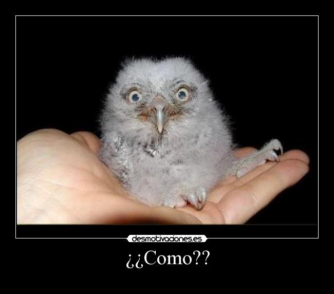 ¿¿Como?? -