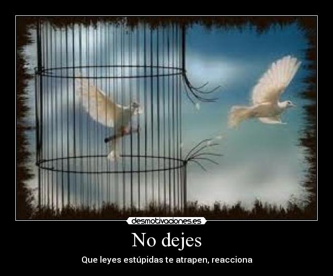 No dejes - 