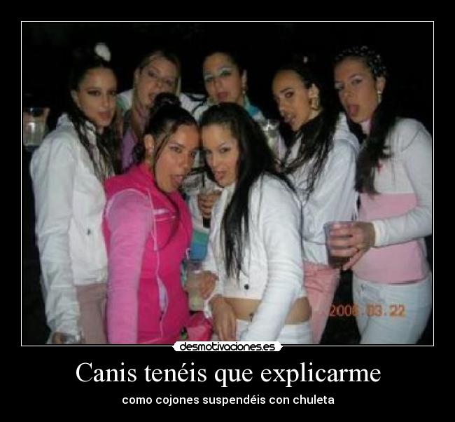 Canis tenéis que explicarme - 