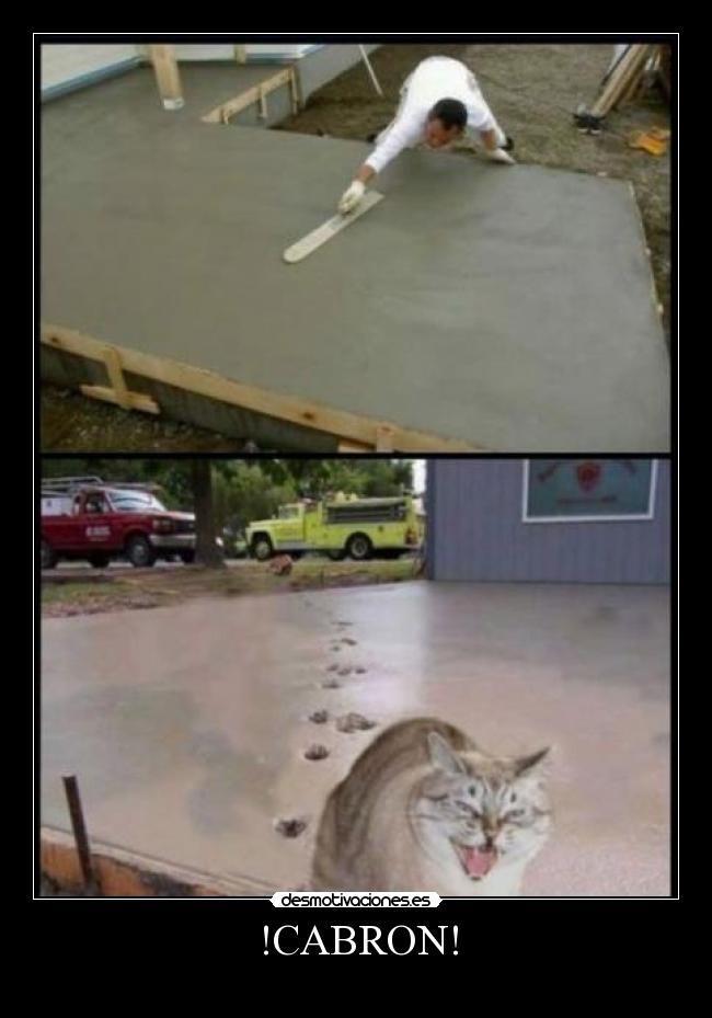 !CABRON! -