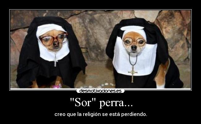 Sor perra... -