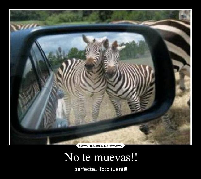 No te muevas!! -