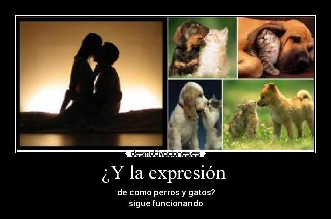 ¿Y la expresión - de como perros y gatos?
sigue funcionando