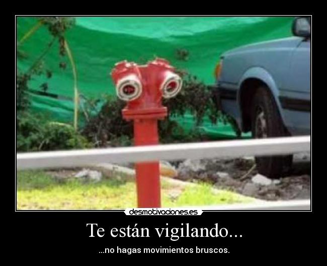 Te están vigilando... -