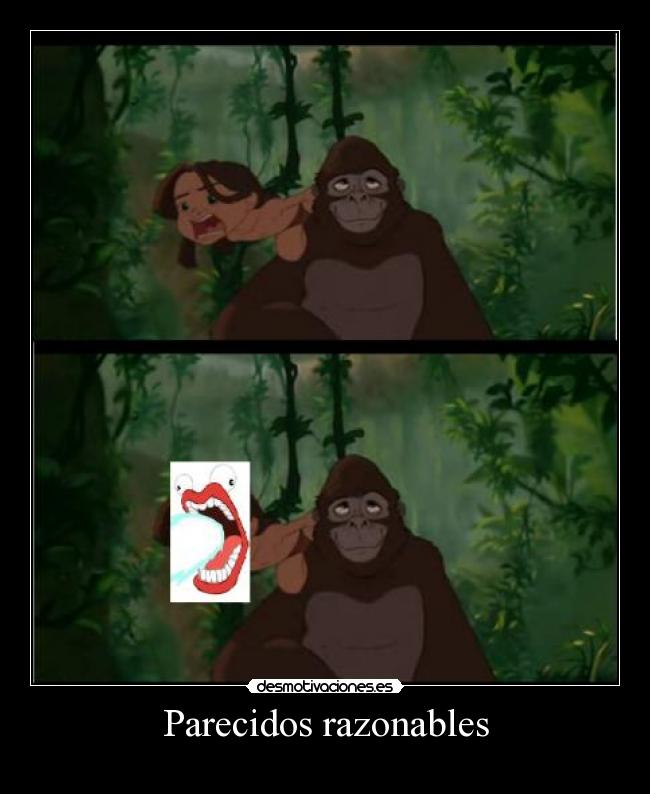 Parecidos razonables -