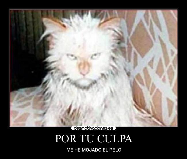 POR TU CULPA -