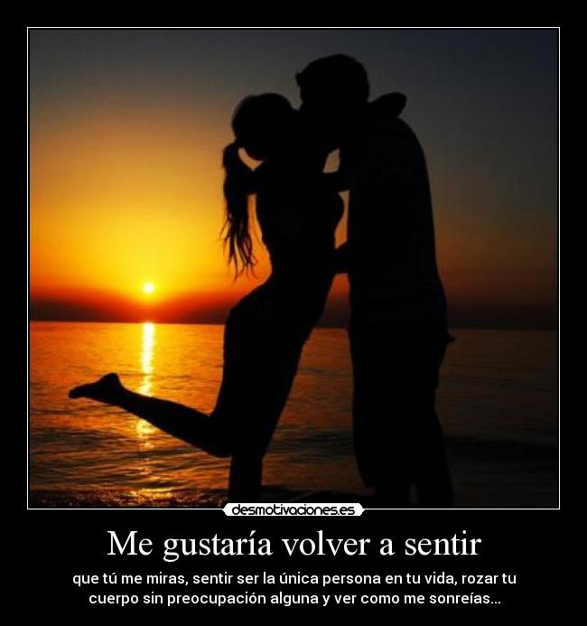 Me gustaría volver a sentir - que tú me miras, sentir ser la única persona en tu vida, rozar tu
cuerpo sin preocupación alguna y ver como me sonreías...