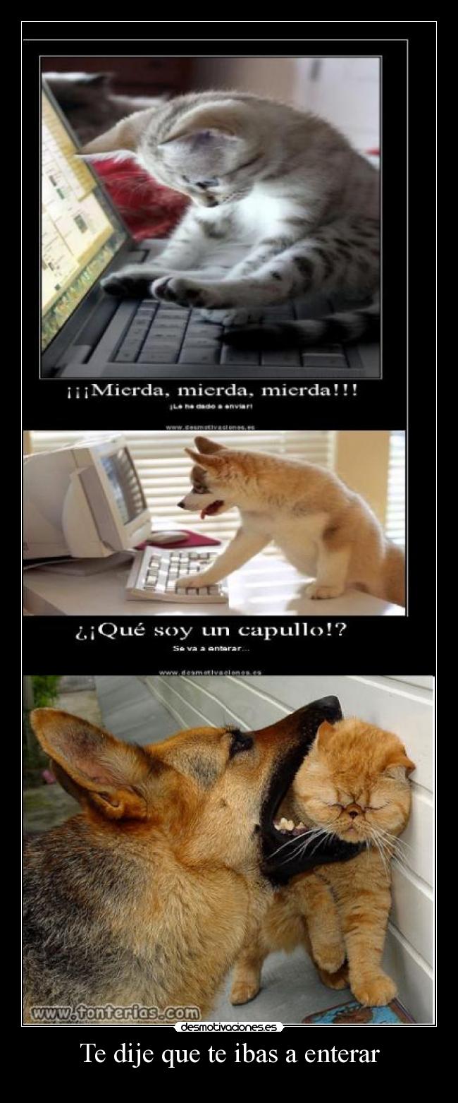 Te dije que te ibas a enterar - 