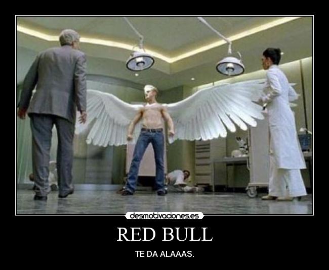 RED BULL - 