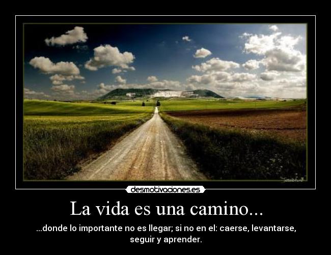 La vida es una camino... - ...donde lo importante no es llegar; si no en el: caerse, levantarse, seguir y aprender.