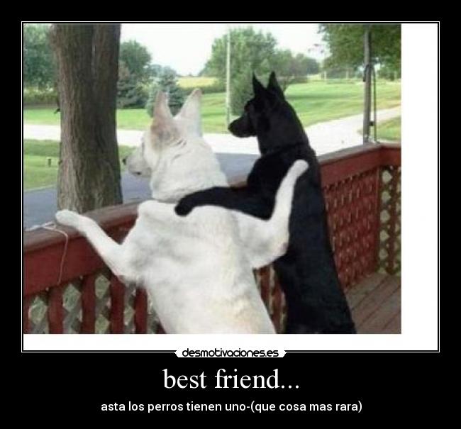 best friend... - 
