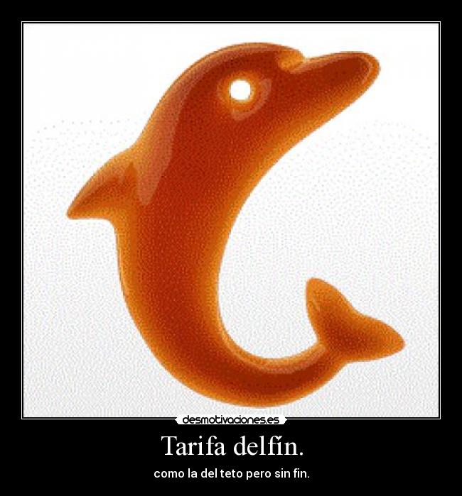 carteles tarifa delfin desmotivaciones