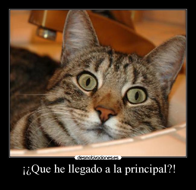 ¡¿Que he llegado a la principal?! -