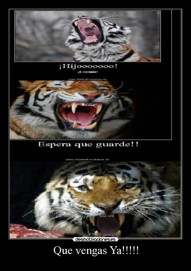 Que vengas Ya!!!!! - 