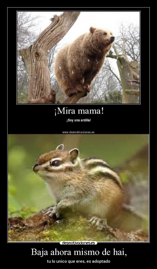 Baja ahora mismo de hai, - 