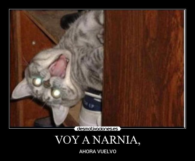 VOY A NARNIA, -
