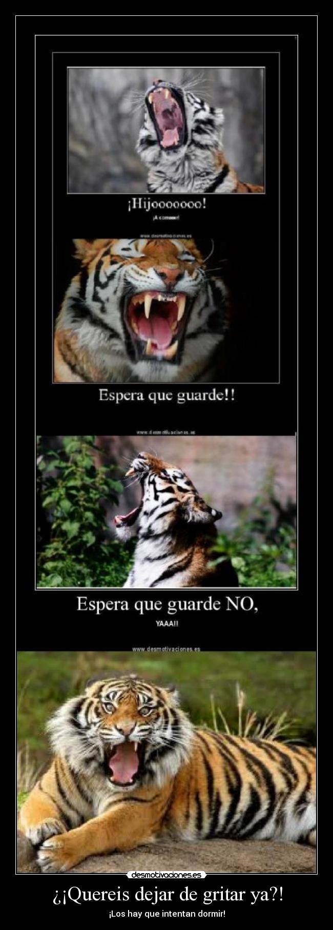 ¿¡Quereis dejar de gritar ya?! - ¡Los hay que intentan dormir!