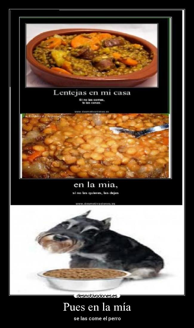 Pues en la mía - se las come el perro