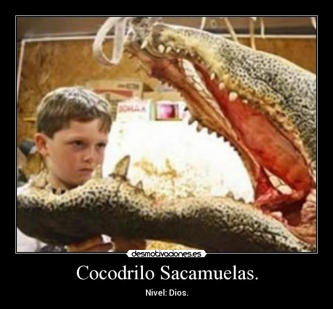 Cocodrilo Sacamuelas. - 