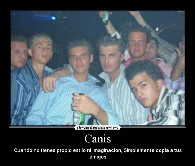 Canis - 