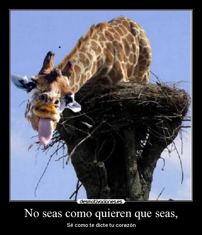 No seas como quieren que seas, - Sé como te dicte tu corazón