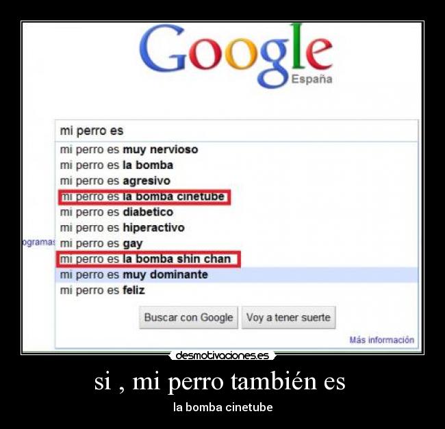 si , mi perro también es -