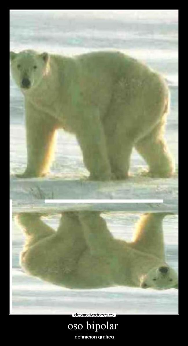 oso bipolar - definicion grafica