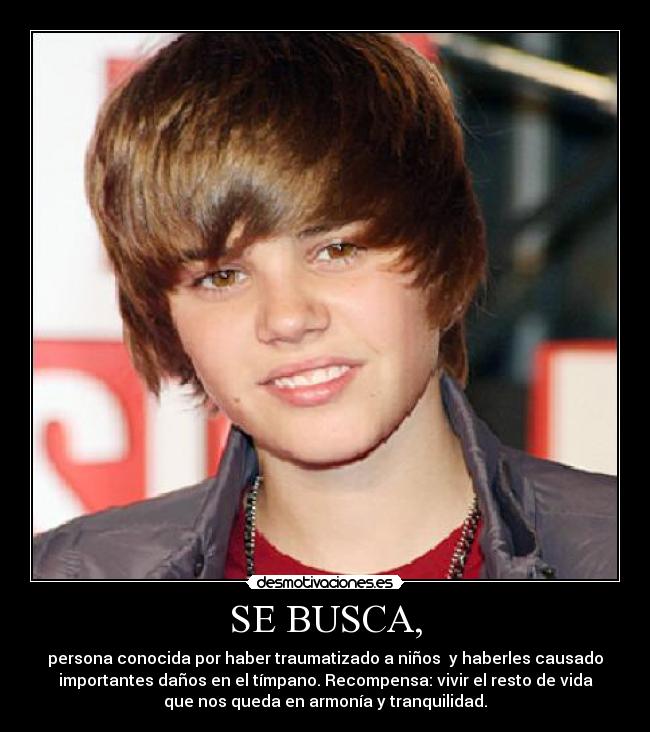 SE BUSCA, - persona conocida por haber traumatizado a niños y haberles causado
importantes daños en el tímpano. Recompensa: vivir el resto de vida
que nos queda en armonía y tranquilidad.