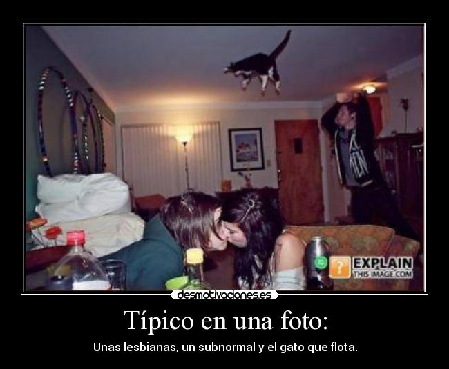 Típico en una foto: - 