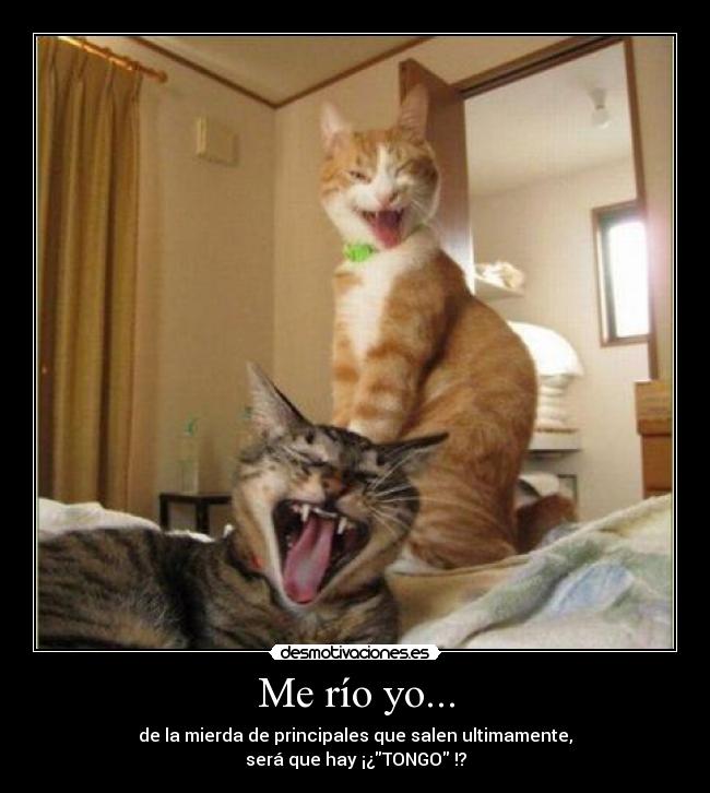 carteles tongo desmotivaciones