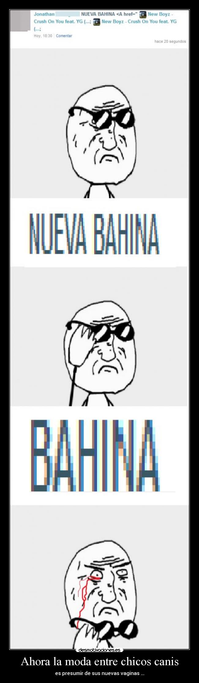 Ahora la moda entre chicos canis - es presumir de sus nuevas vaginas ...