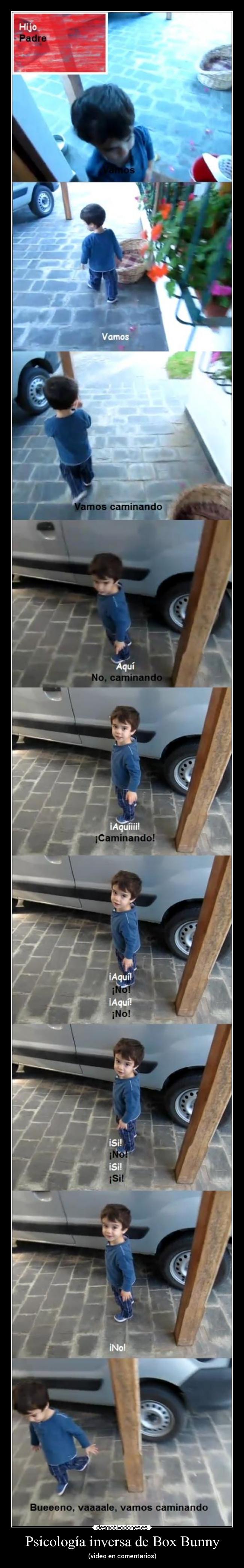 Psicología inversa de Box Bunny - 