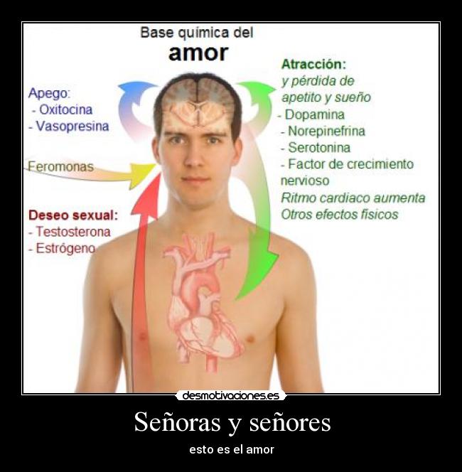 Señoras y señores - esto es el amor