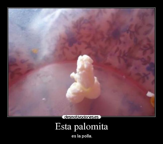 Esta palomita - es la polla.