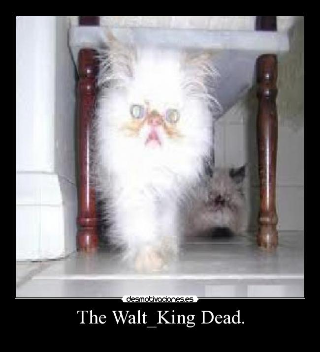 The Walt_King Dead. - 