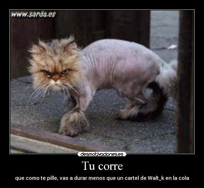 Tu corre - que como te pille, vas a durar menos que un cartel de Walt_k en la cola