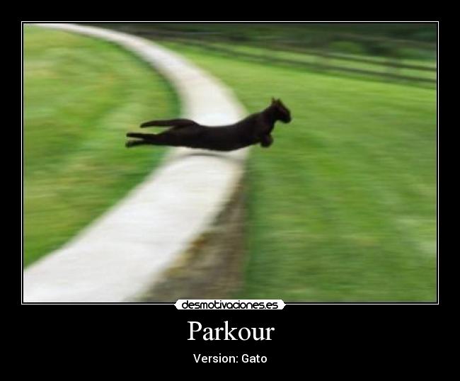 Parkour -