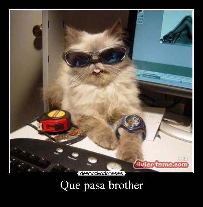 carteles rtr desmotivaciones