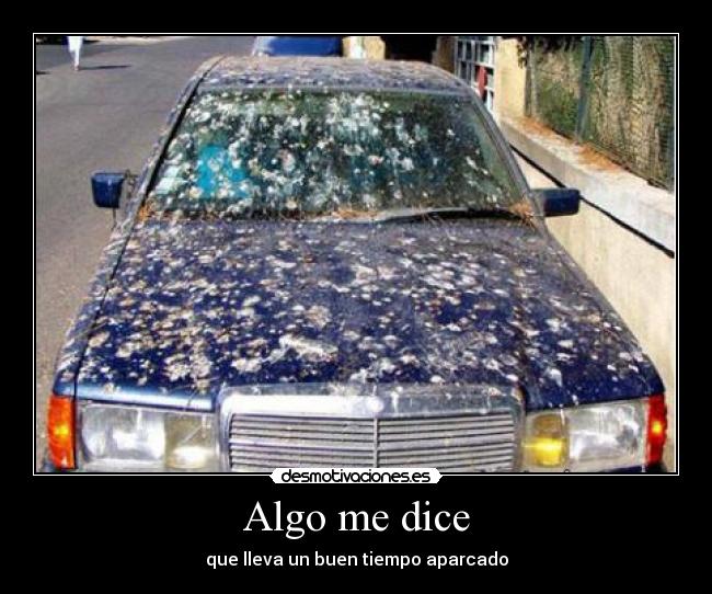 Algo me dice - 