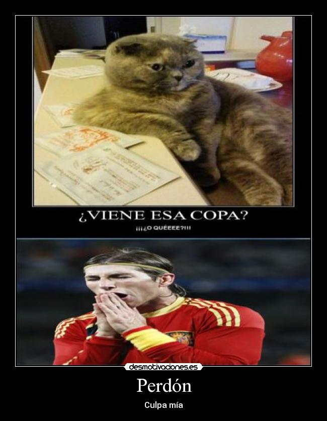 Perdón - Culpa mía