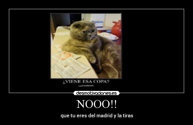 NOOO!! - 
