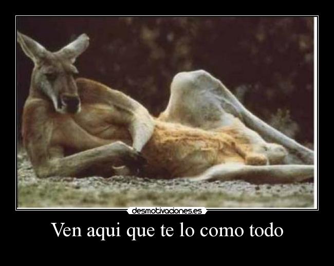 Ven aqui que te lo como todo -