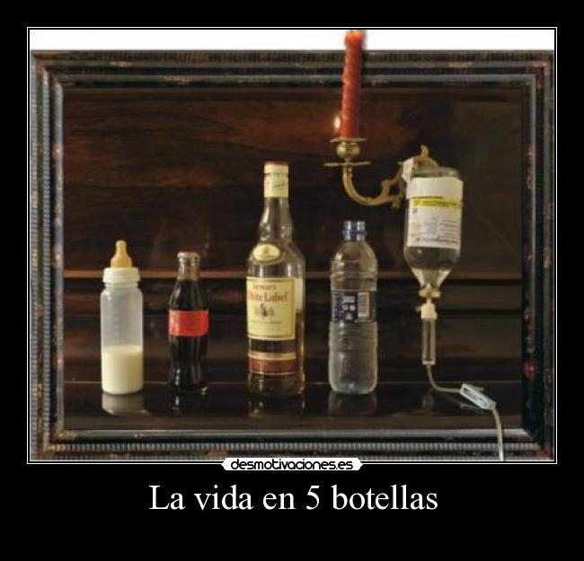 La vida en 5 botellas -